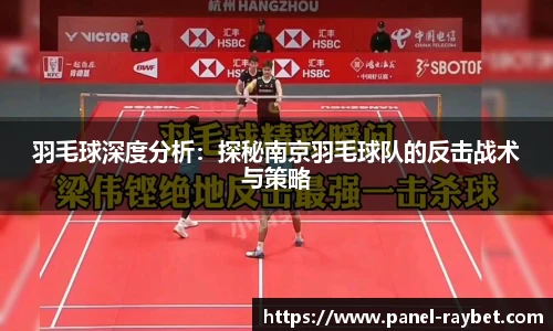 羽毛球深度分析:探秘南京羽毛球队的反击战术与策略